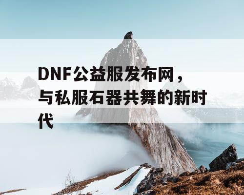 DNF公益服发布网，与私服石器共舞的新时代