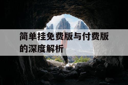 简单挂免费版与付费版的深度解析 简单挂免费版与付费版的深度解析