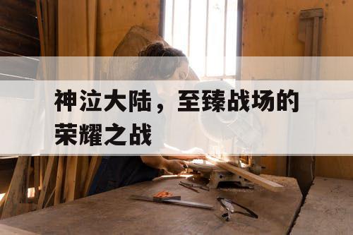 神泣大陆,至臻战场的荣耀之战 神泣大陆,至臻战场的荣耀之战