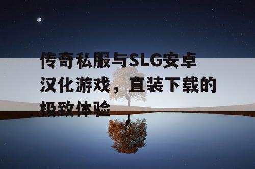 传奇私服与SLG安卓汉化游戏，直装下载的极致体验