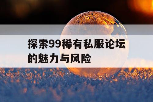 探索99稀有私服论坛的魅力与风险 探索99稀有私服论坛的魅力与风险