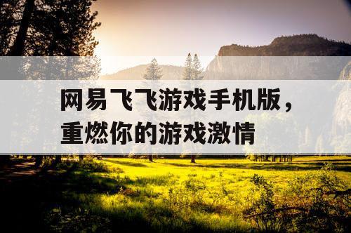 网易飞飞游戏手机版，重燃你的游戏激情
