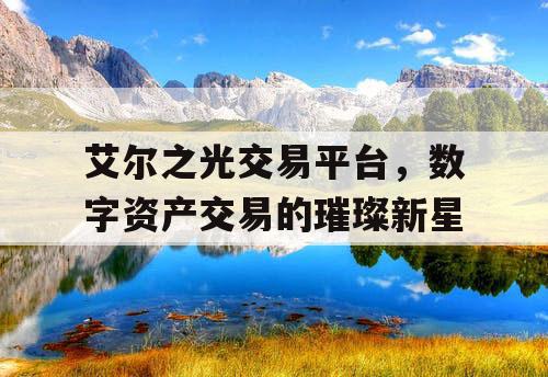 艾尔之光交易平台,数字资产交易的璀璨新星 艾尔之光交易平台,数字资产交易的璀璨新星