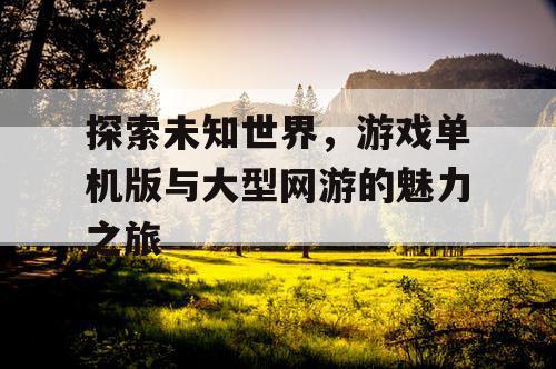 探索未知世界，游戏单机版与大型网游的魅力之旅