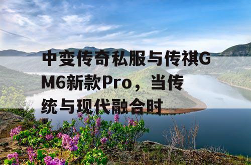 中变传奇私服与传祺GM6新款Pro,当传统与现代融合时 中变传奇私服与传祺GM6新款Pro,当传统与现代融合时