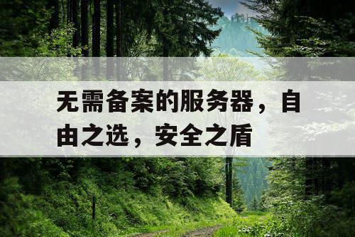 无需备案的服务器,自由之选,安全之盾 无需备案的服务器,自由之选,安全之盾