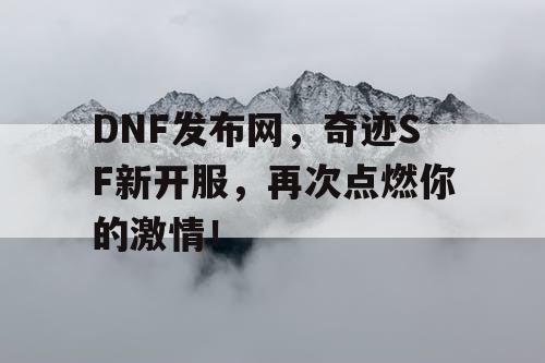 DNF发布网，奇迹SF新开服，再次点燃你的激情！