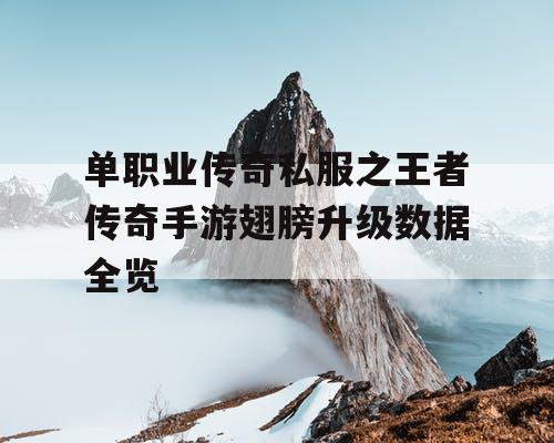 单职业传奇私服之王者传奇手游翅膀升级数据全览 单职业传奇私服之王者传奇手游翅膀升级数据全览