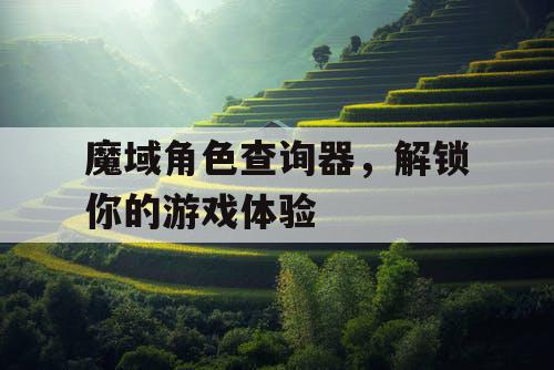 魔域角色查询器，解锁你的游戏体验