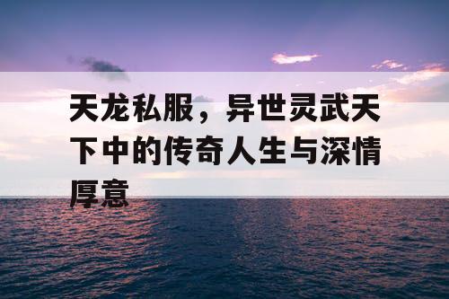天龙私服，异世灵武天下中的传奇人生与深情厚意