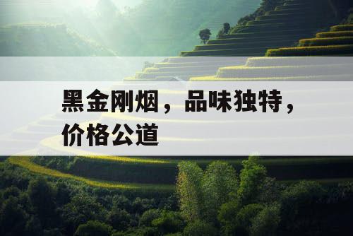 黑金刚烟，品味独特，价格公道