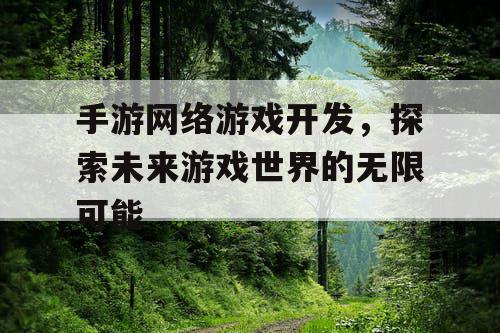手游网络游戏开发,探索未来游戏世界的无限可能 手游网络游戏开发,探索未来游戏世界的无限可能