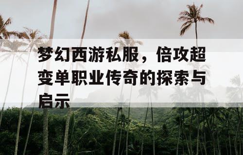 梦幻西游私服，倍攻超变单职业传奇的探索与启示