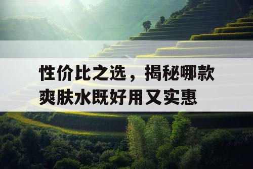 性价比之选，揭秘哪款爽肤水既好用又实惠