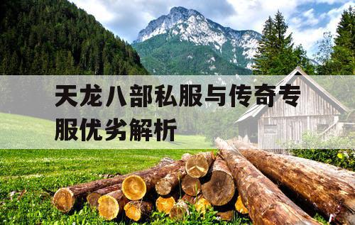 天龙八部私服与传奇专服优劣解析 天龙八部私服与传奇专服优劣解析