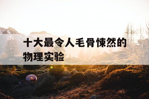 十大最令人毛骨悚然的物理实验