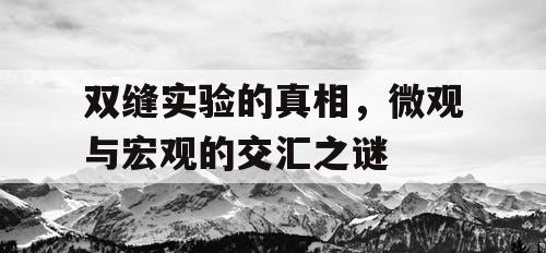 双缝实验的真相,微观与宏观的交汇之谜 双缝实验的真相,微观与宏观的交汇之谜