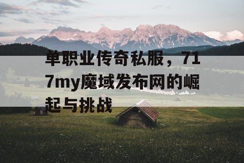 单职业传奇私服，717my魔域发布网的崛起与挑战