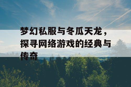梦幻私服与冬瓜天龙，探寻网络游戏的经典与传奇
