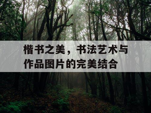 楷书之美，书法艺术与作品图片的完美结合