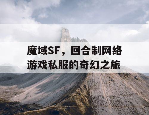 魔域SF，回合制网络游戏私服的奇幻之旅