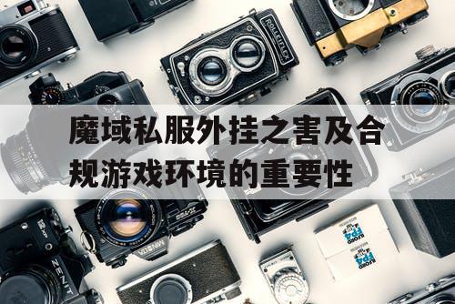 魔域私服外挂之害及合规游戏环境的重要性 魔域私服外挂之害及合规游戏环境的重要性