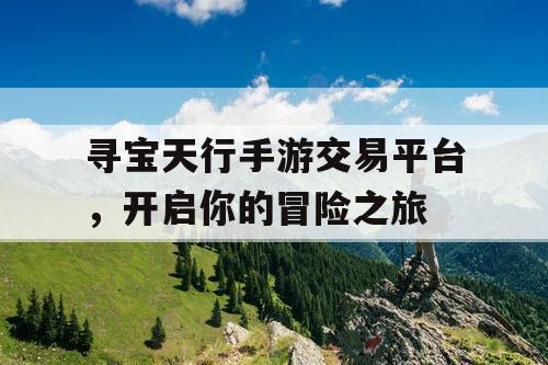 寻宝天行手游交易平台，开启你的冒险之旅