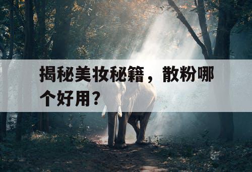 揭秘美妆秘籍，散粉哪个好用？