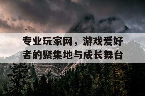 专业玩家网,游戏爱好者的聚集地与成长舞台 专业玩家网,游戏爱好者的聚集地与成长舞台