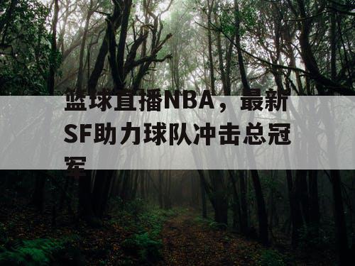 篮球直播NBA,最新SF助力球队冲击总冠军 篮球直播NBA,最新SF助力球队冲击总冠军