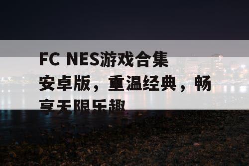 FC NES游戏合集安卓版，重温经典，畅享无限乐趣