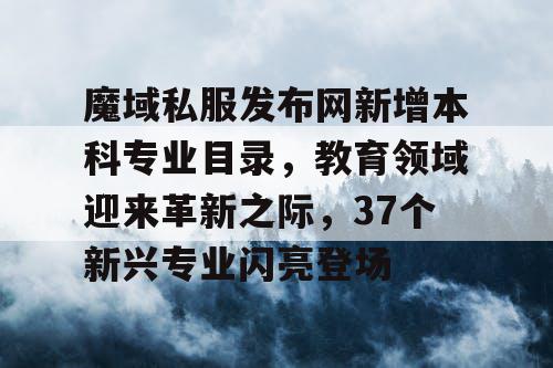 魔域私服发布网新增本科专业目录,教育领域迎来革新之际,37个新兴专业闪亮登场 魔域私服发布网新增本科专业目录,教育领域迎来革新之际,37个新兴专业闪亮登场