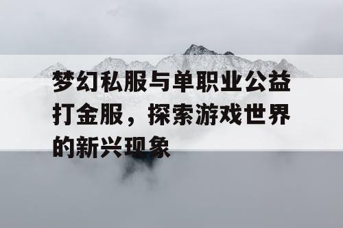 梦幻私服与单职业公益打金服，探索游戏世界的新兴现象