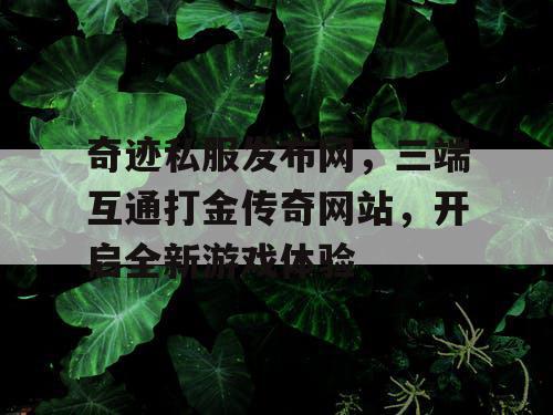 奇迹私服发布网，三端互通打金传奇网站，开启全新游戏体验