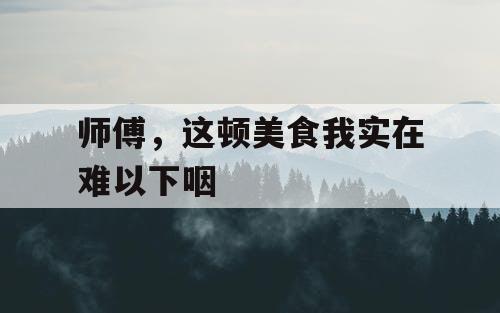师傅，这顿美食我实在难以下咽