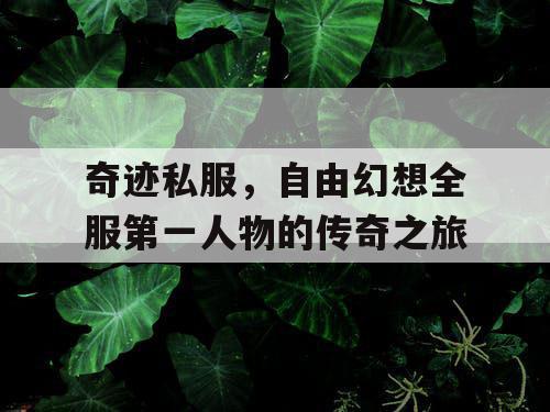 奇迹私服，自由幻想全服第一人物的传奇之旅