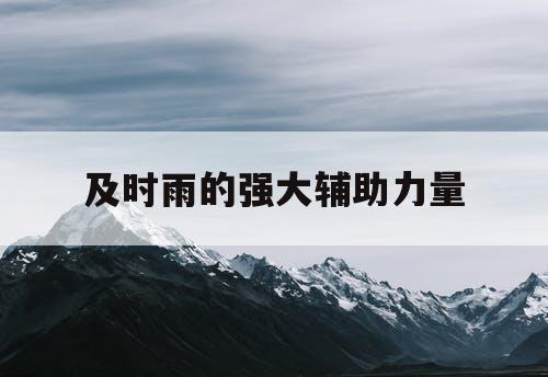 及时雨的强大辅助力量
