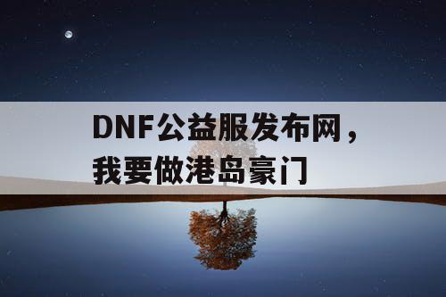 DNF公益服发布网，我要做港岛豪门