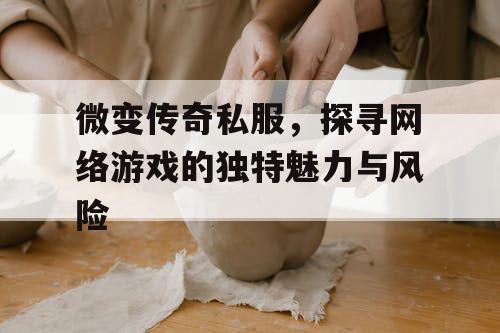 微变传奇私服,探寻网络游戏的独特魅力与风险 微变传奇私服,探寻网络游戏的独特魅力与风险