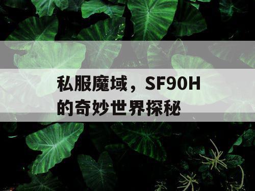 私服魔域，SF90H的奇妙世界探秘