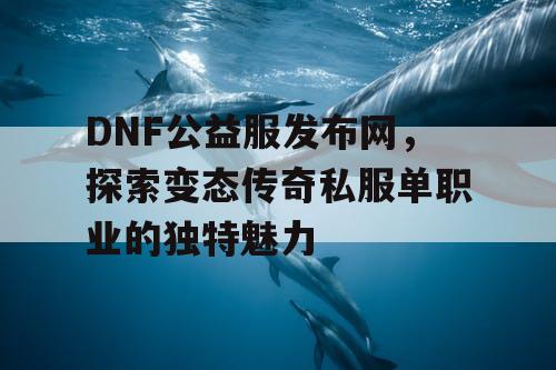 DNF公益服发布网，探索变态传奇私服单职业的独特魅力