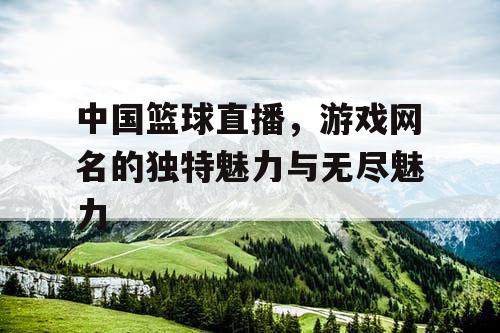 中国篮球直播，游戏网名的独特魅力与无尽魅力