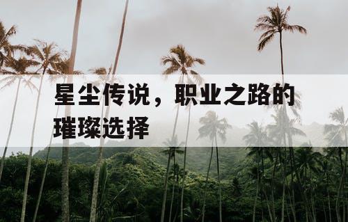 星尘传说，职业之路的璀璨选择