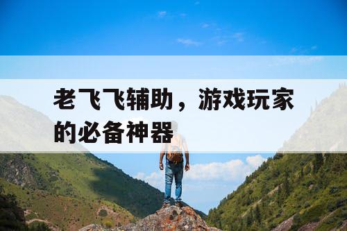 老飞飞辅助,游戏玩家的必备神器 老飞飞辅助,游戏玩家的必备神器