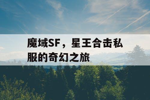 魔域SF，星王合击私服的奇幻之旅