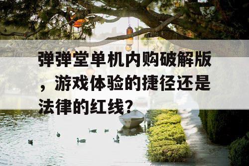 弹弹堂单机内购破解版，游戏体验的捷径还是法律的红线？