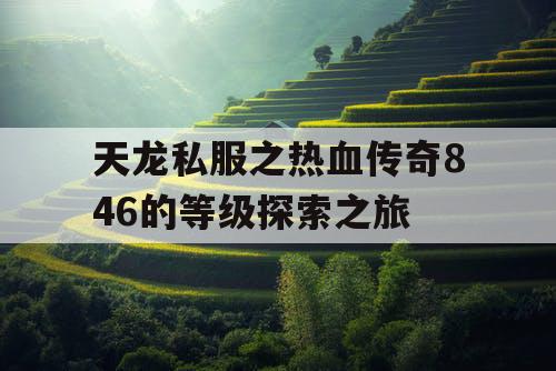 天龙私服之热血传奇846的等级探索之旅 天龙私服之热血传奇846的等级探索之旅