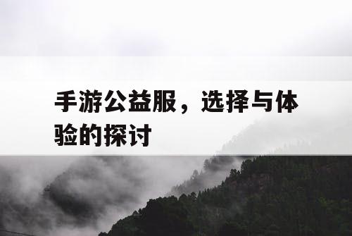 手游公益服，选择与体验的探讨