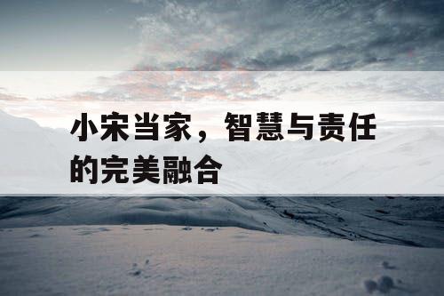 小宋当家，智慧与责任的完美融合