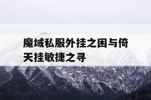 魔域私服外挂之困与倚天挂敏捷之寻